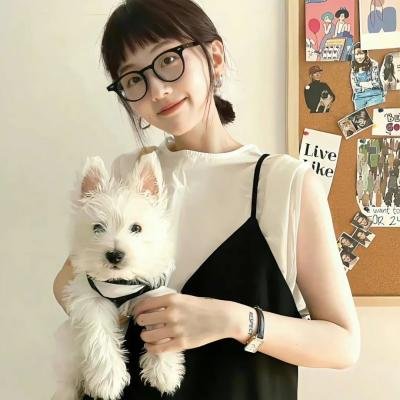 大卫·查普尔的街区聚会